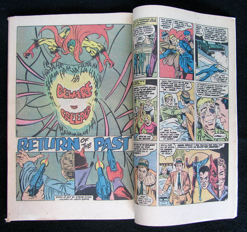 WORLD'S FINEST COMICS #250 (1978) - Image 10